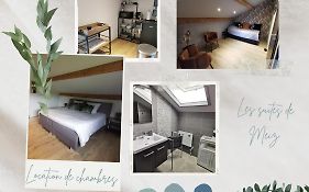 Les Suites De Meiz